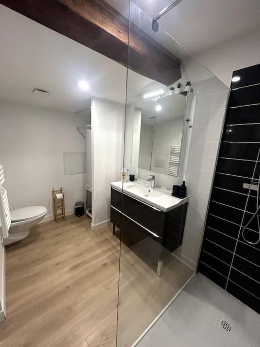 Apartament Cocon Chaleureux Au Coeur De Mirepoix Mirepoix  Zewnętrze zdjęcie