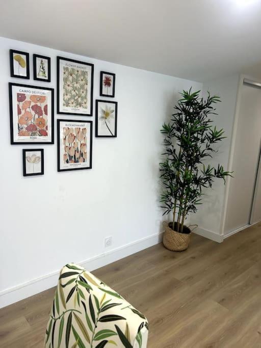 Apartament Cocon Chaleureux Au Coeur De Mirepoix Mirepoix  Zewnętrze zdjęcie
